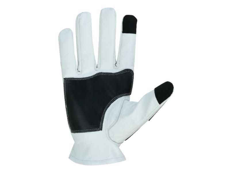 Skeleton Hand Riding Gloves